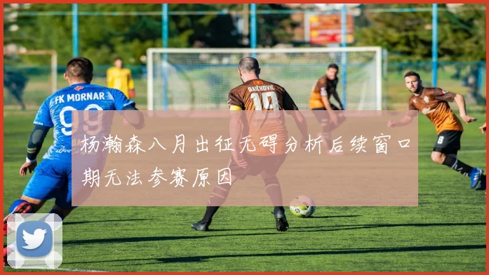 杨瀚森八月出征无碍分析后续窗口期无法参赛原因